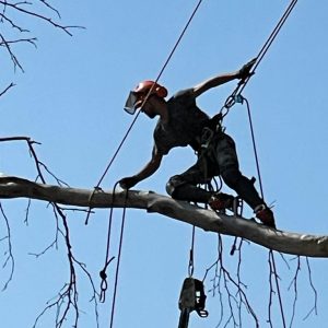 6729eeb9-fa52-4529-843a-f7320ee267ec